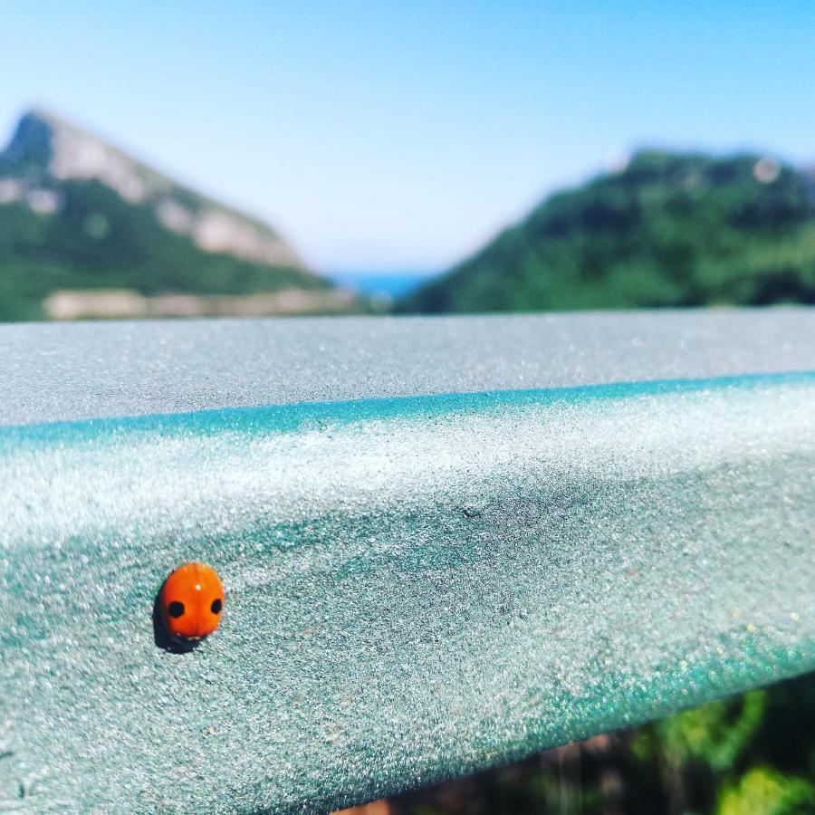 La Roccia Incantata Amalfi Coast Vietri Eksteriør bilde