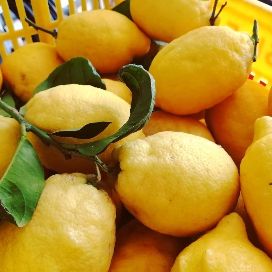 La Roccia Incantata Amalfi Coast Vietri Eksteriør bilde