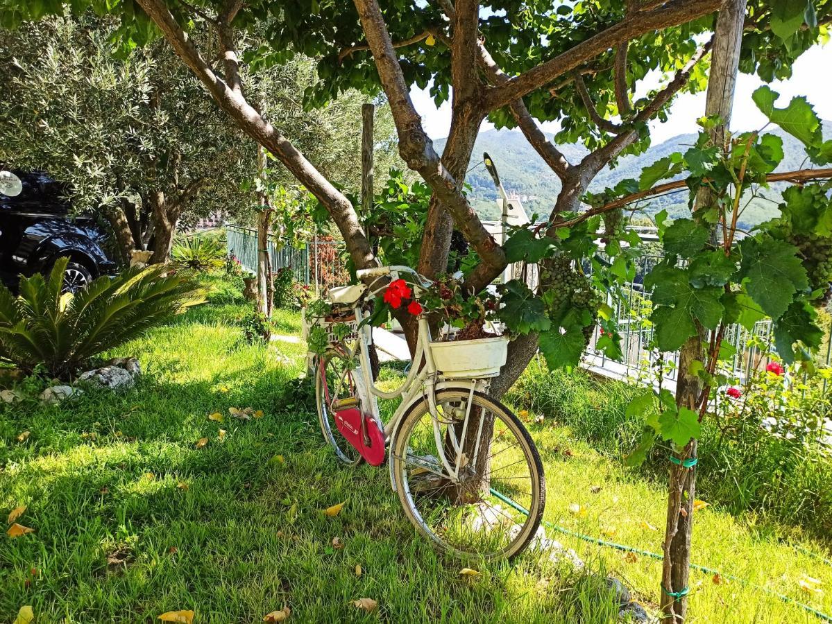 La Roccia Incantata Amalfi Coast Vietri Eksteriør bilde